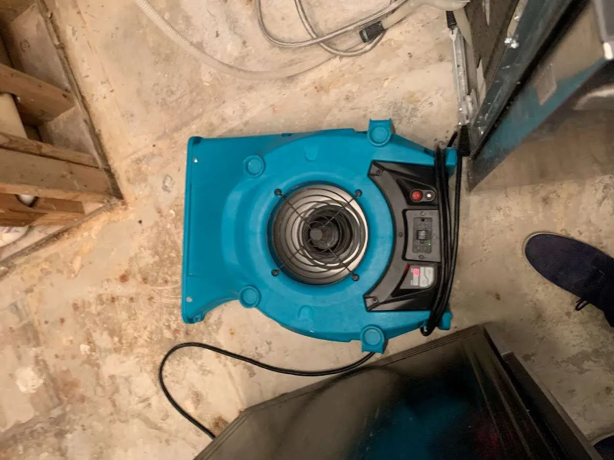 Air mover drying equipment for Mold Remediation & Removal in San Jacinto